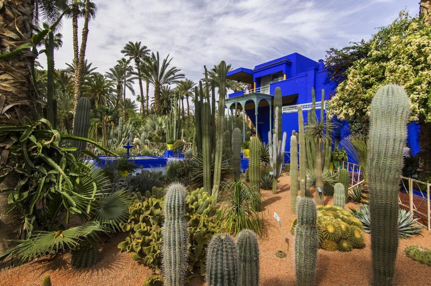 Lugar Jardín Majorelle