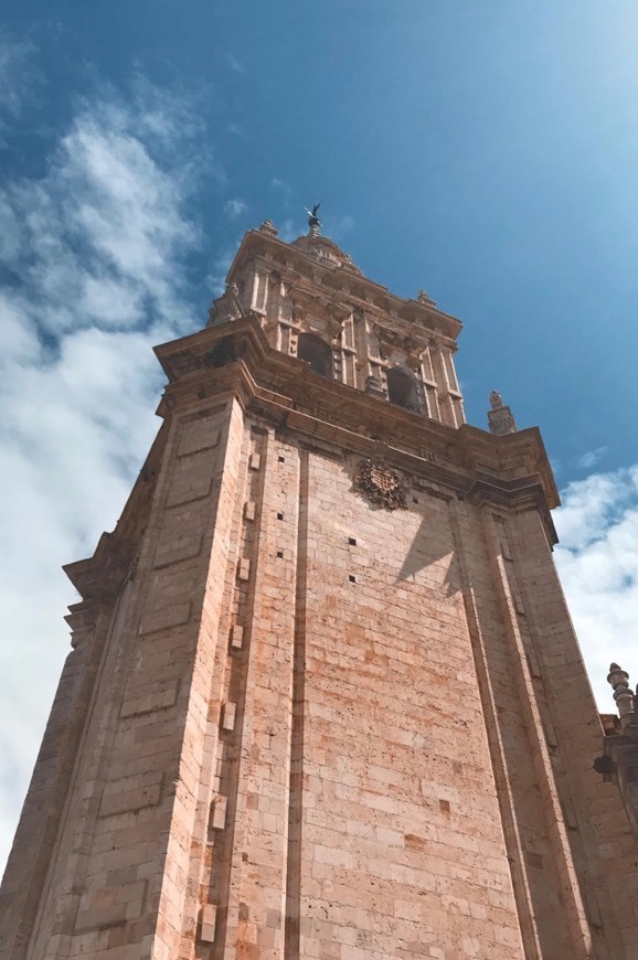 Lugar Catedral de Salamanca