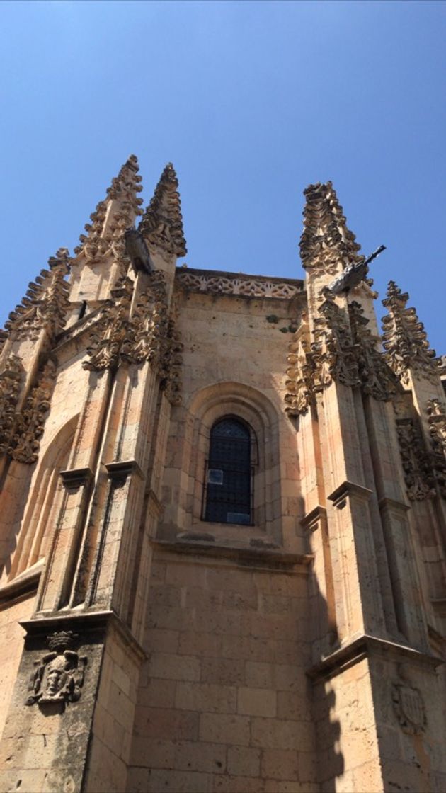 Place Catedral de Segovia