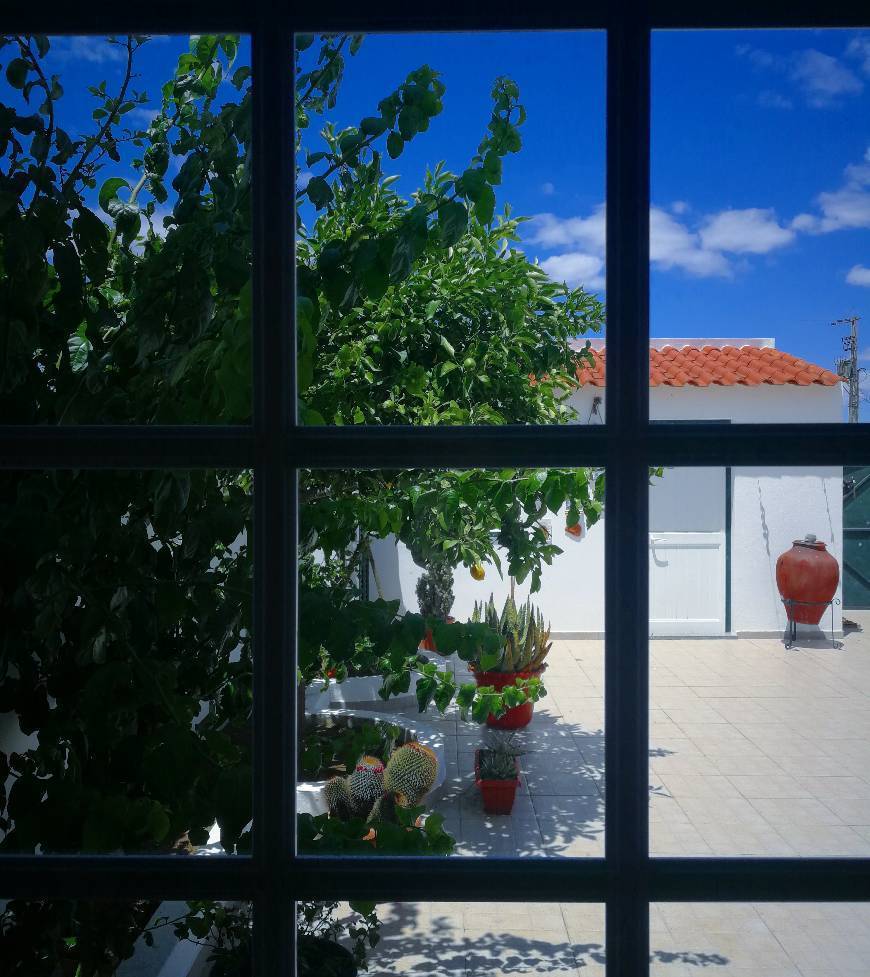 Lugar Vila de Frades, Catedral Dos Vinhos De Talha