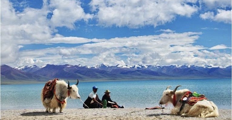 Places Namtso Lake Maoniu Suannai Store