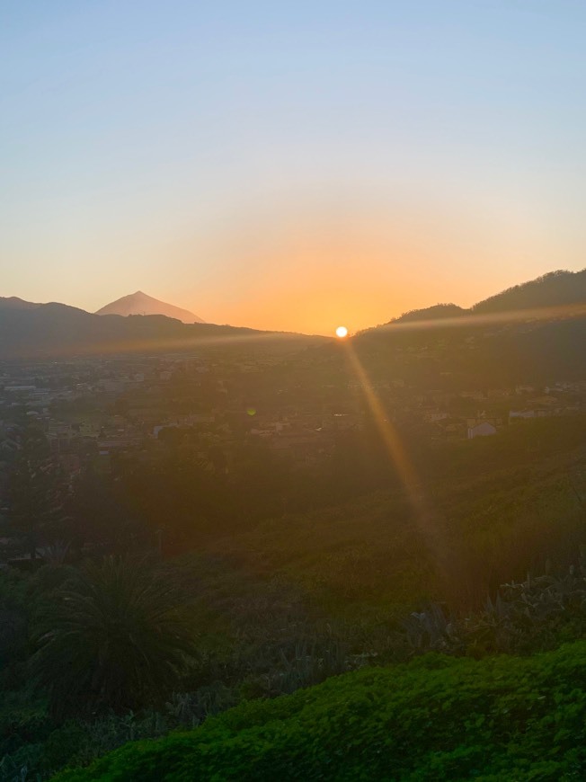 Place Camino del Rincón