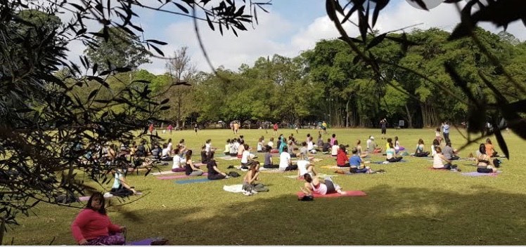 Place Parque Ibirapuera