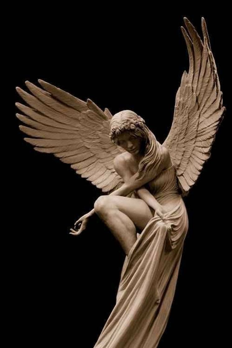 Social Soft angel 