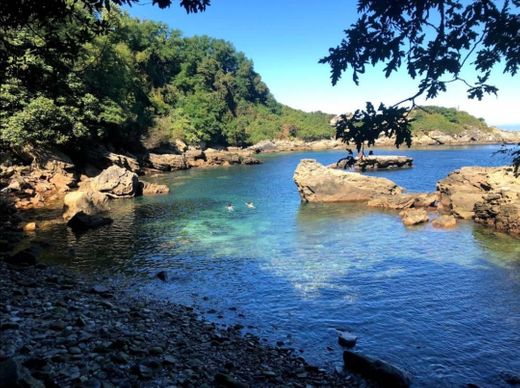 Playa de Los Frailes