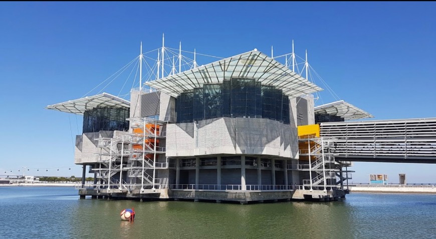 Lugar Oceanario de Lisboa