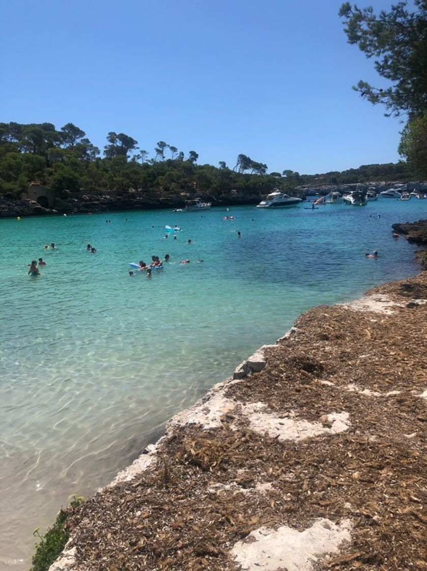 Place Cala Mondragó