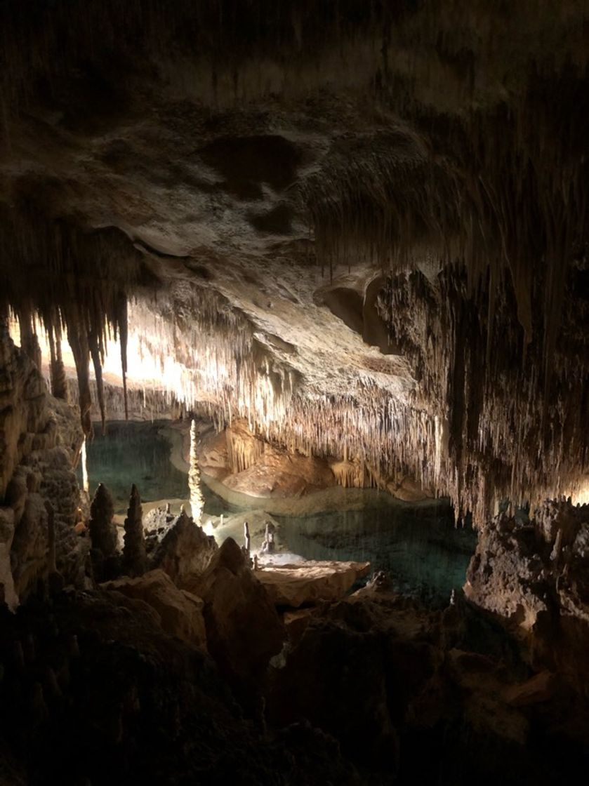 Place Cuevas del Drach