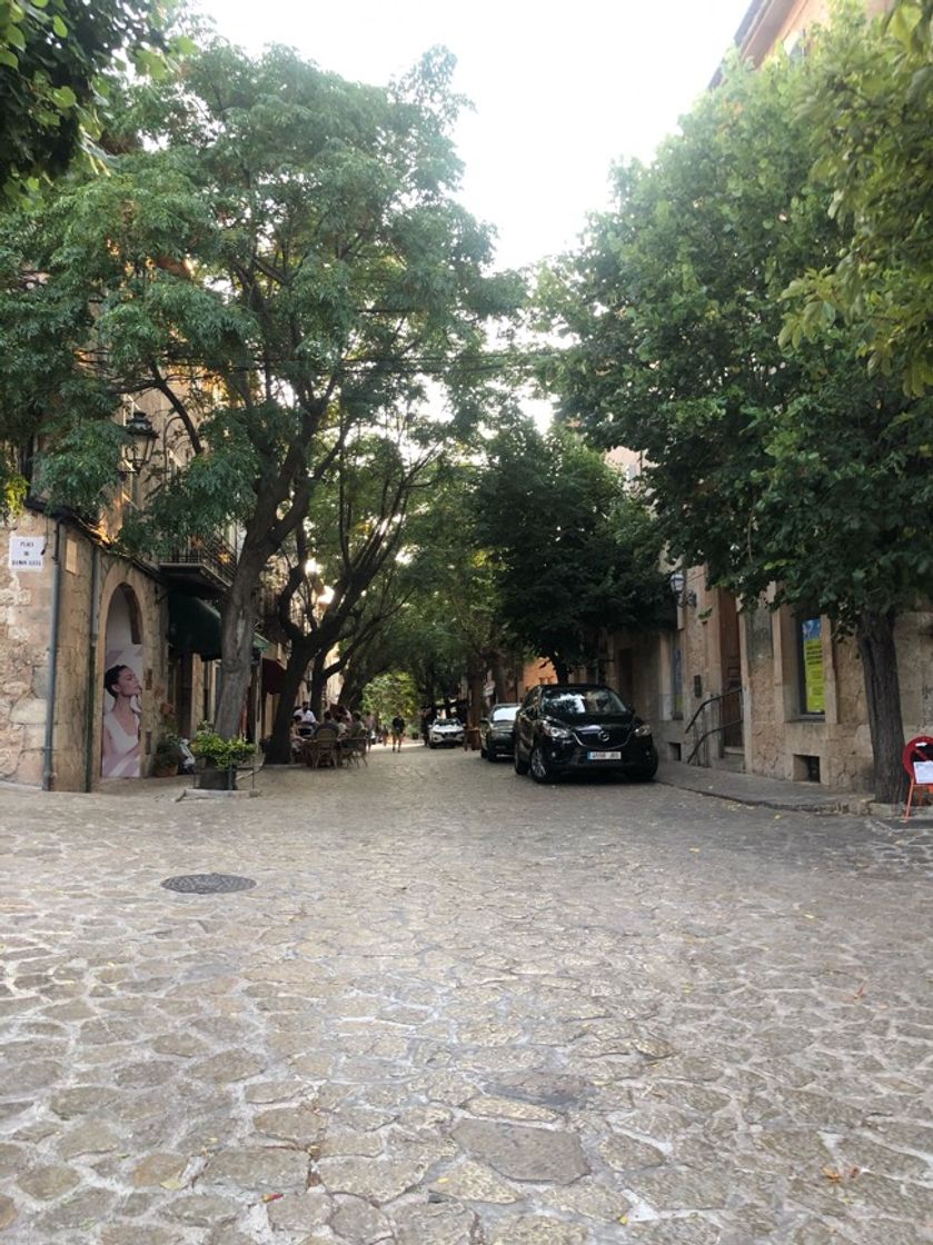 Place VALLDEMOSSA