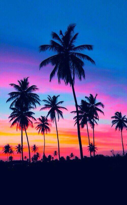 paisagens 🌅