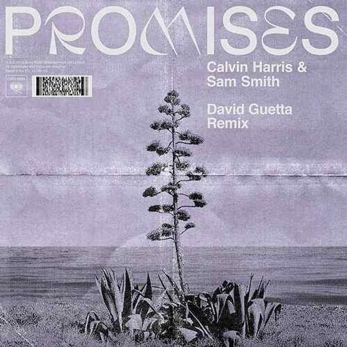 Music Calvin Harris & Sam Smith - Promises (David Guerra remix) 