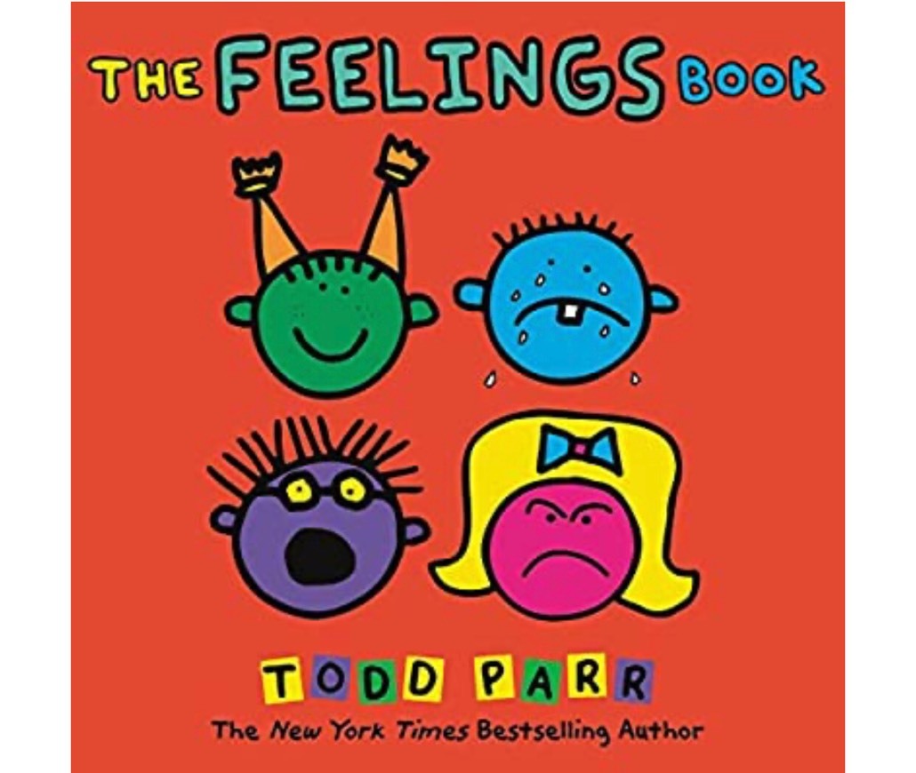 Book The Feelings Book