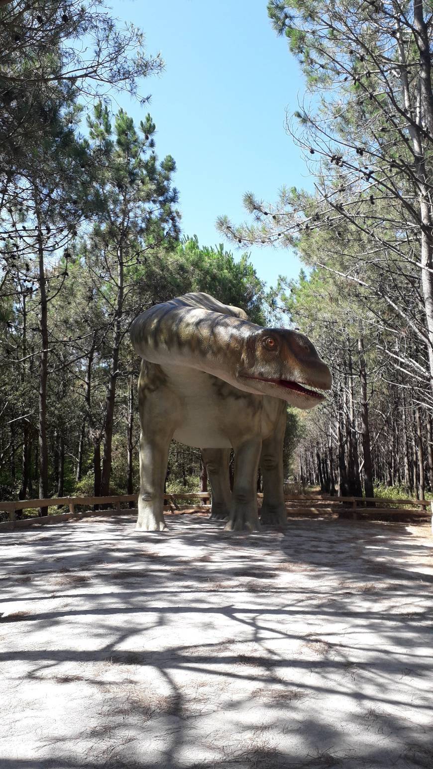 Place Dino Parque Lourinhã