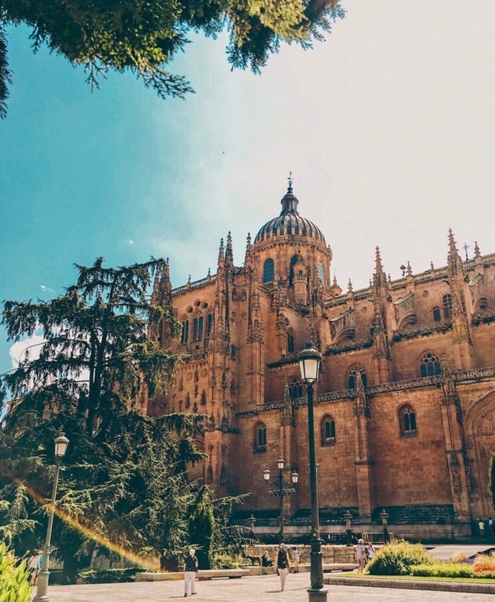 Place Catedral de Salamanca