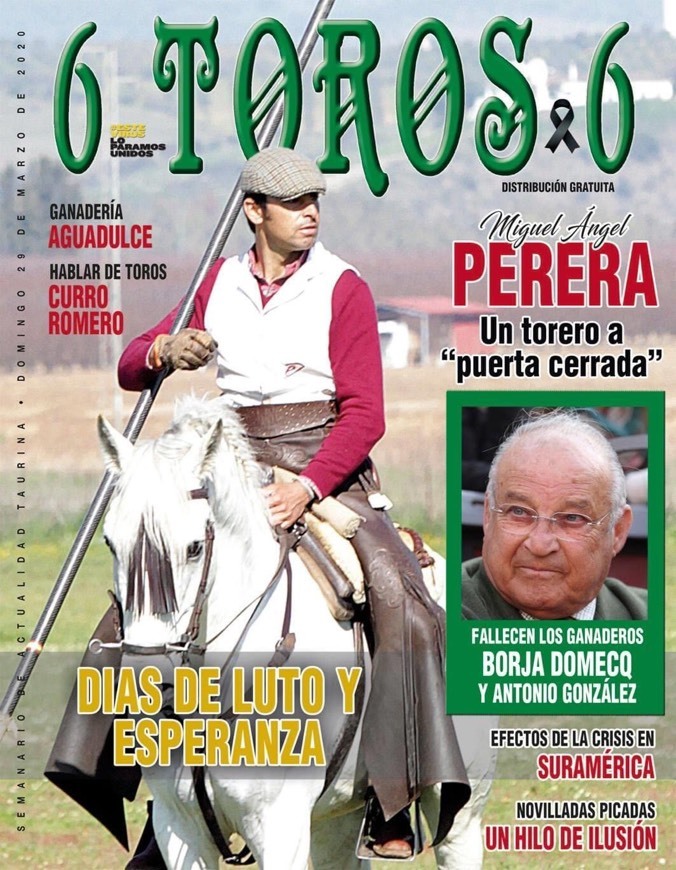Revista6toros6 