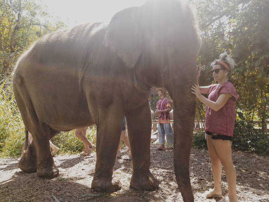 Lugar Elephant EcoValley