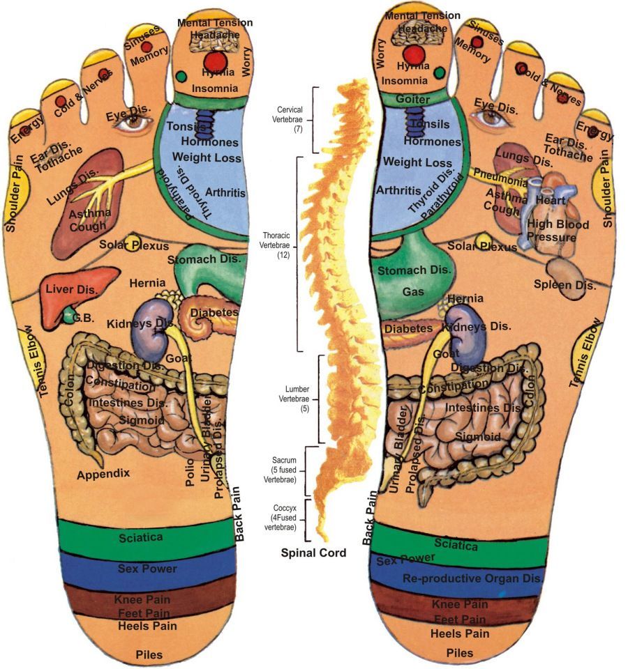 Moda  ( REFLEXOLOGIA)