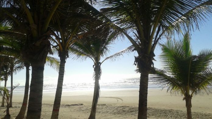 Social Uma bela praia em que a areia é dourada e o mar tranquilo ❤️