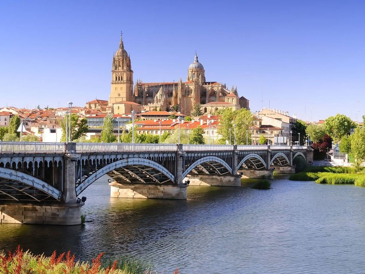 Place Salamanca