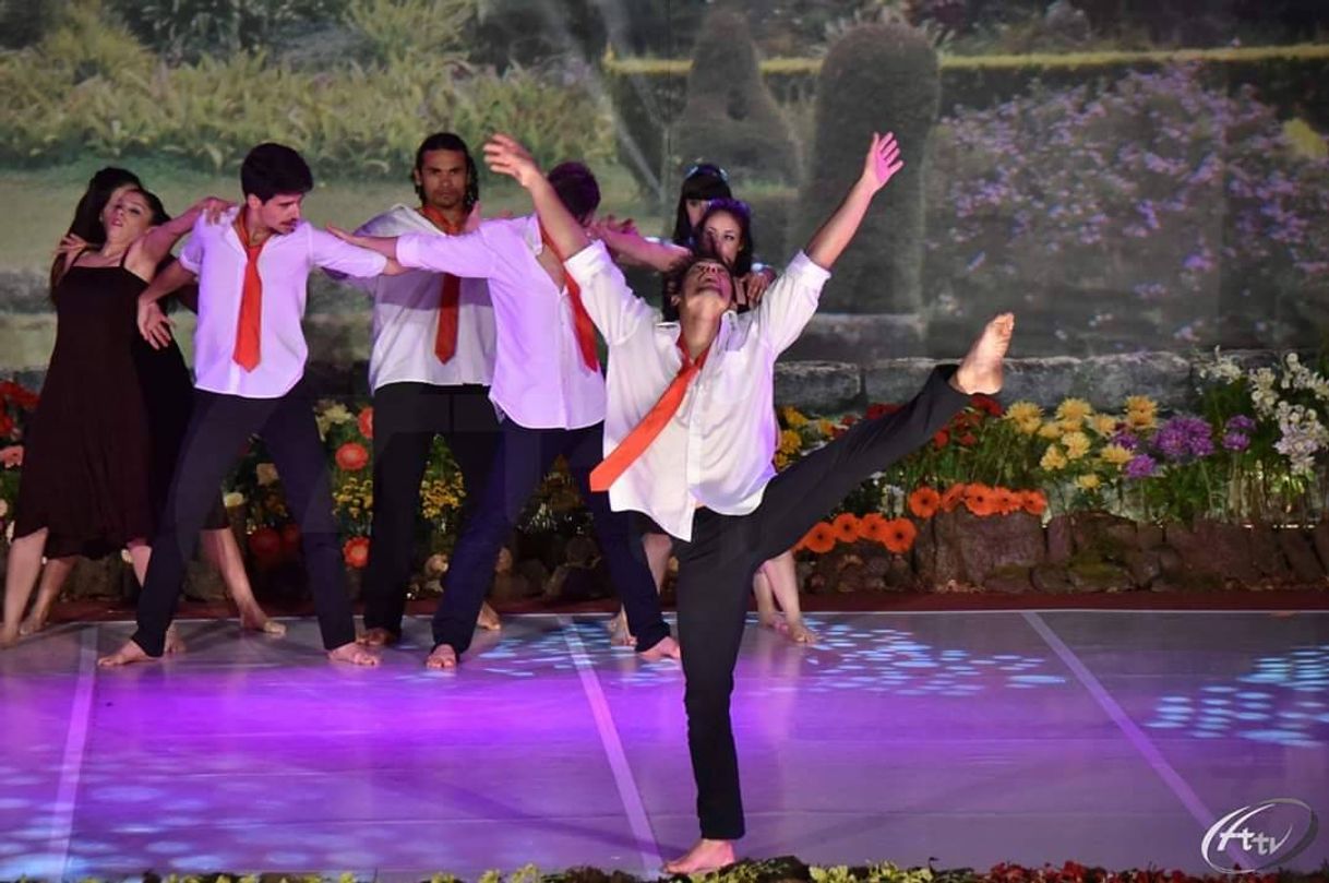 Social Dança da flor 2016