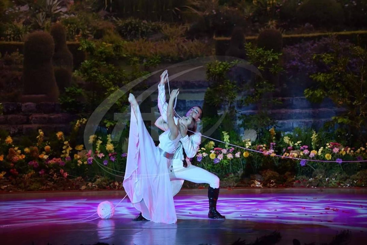 Social Dança da flor 2017