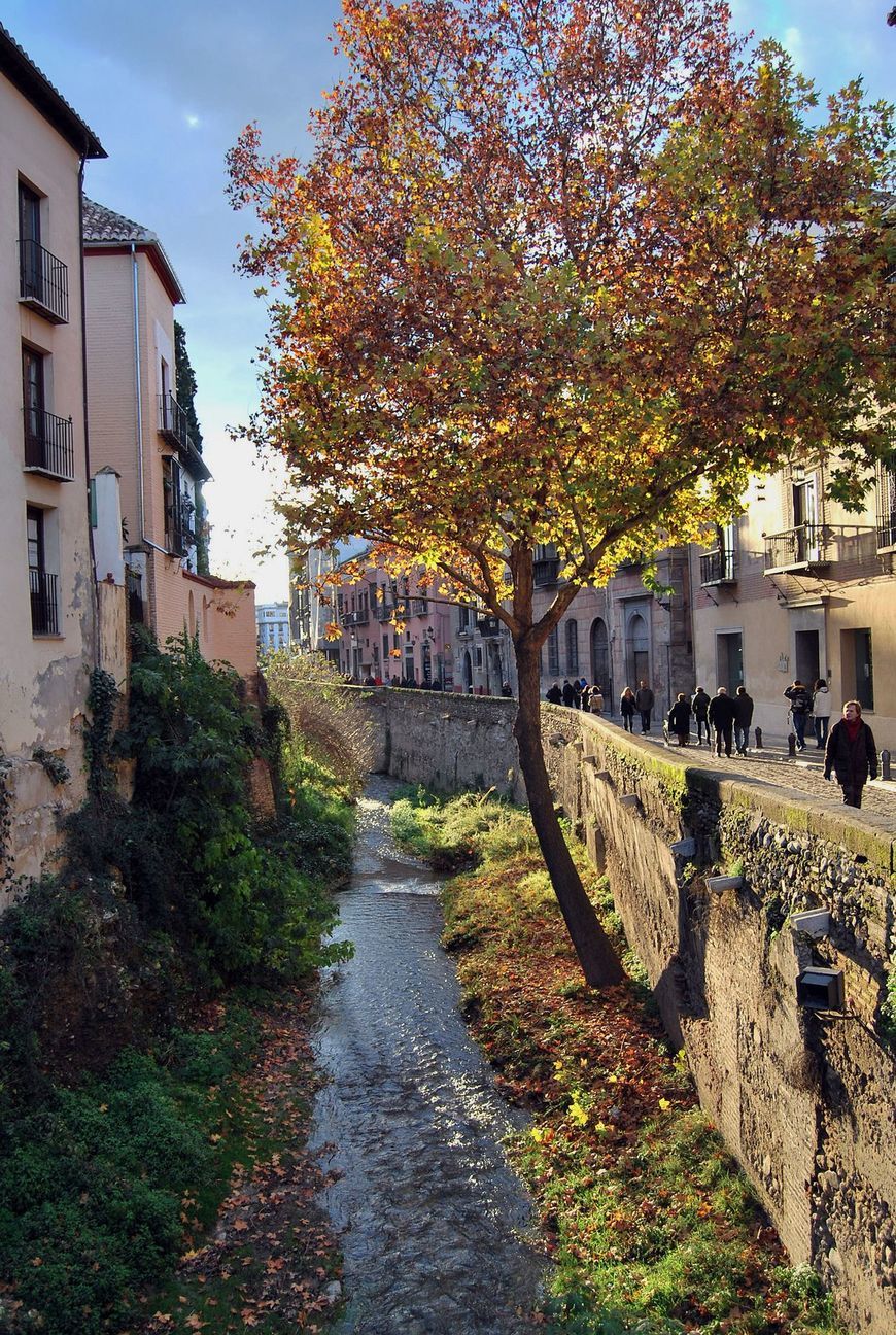 Lugar Carrera del Darro