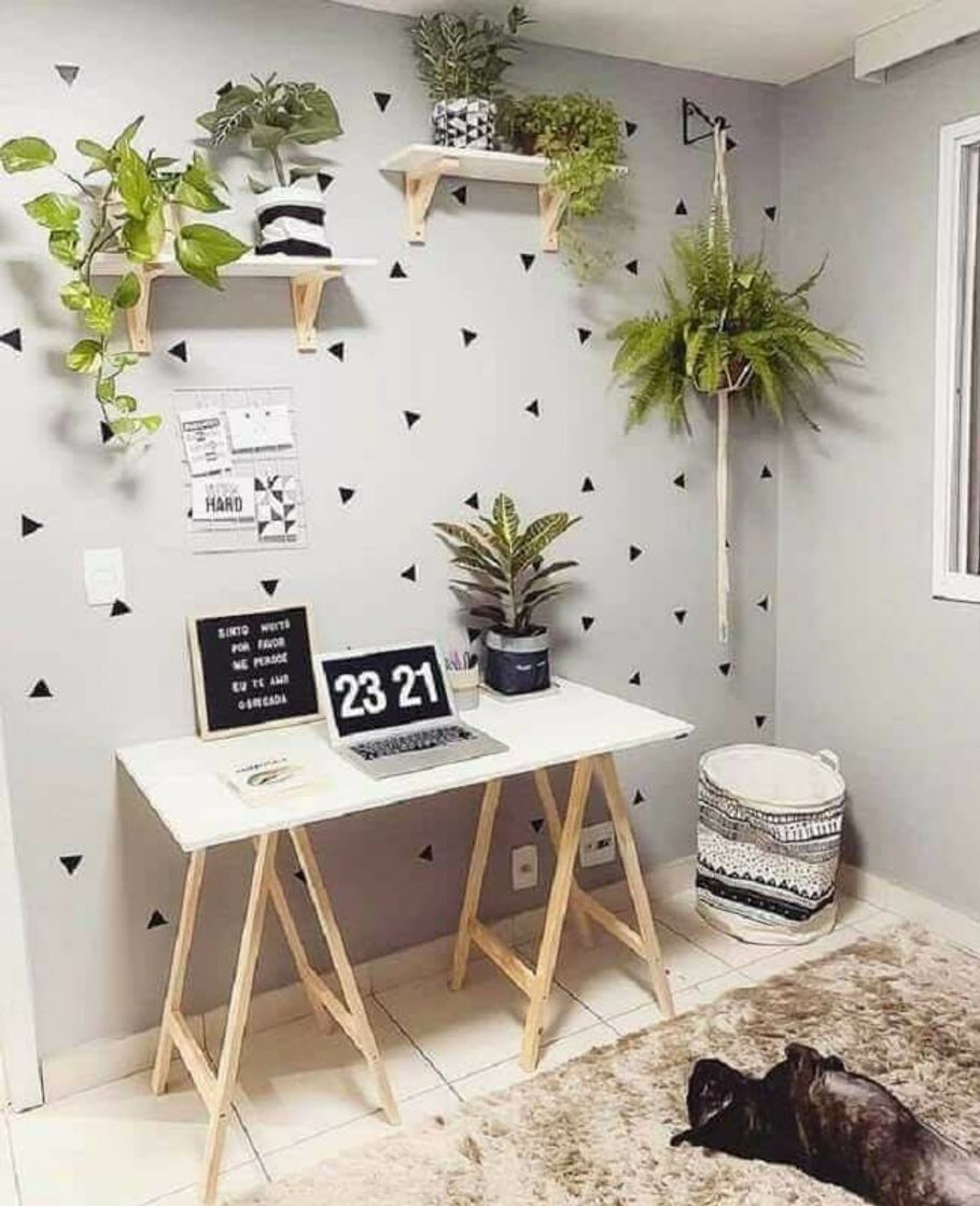 Fashion Decoração com plantas!