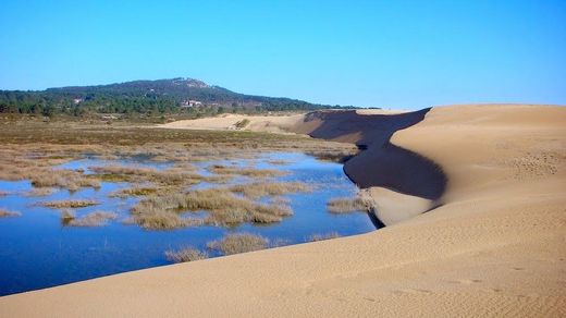 Dunas de Corrubedo