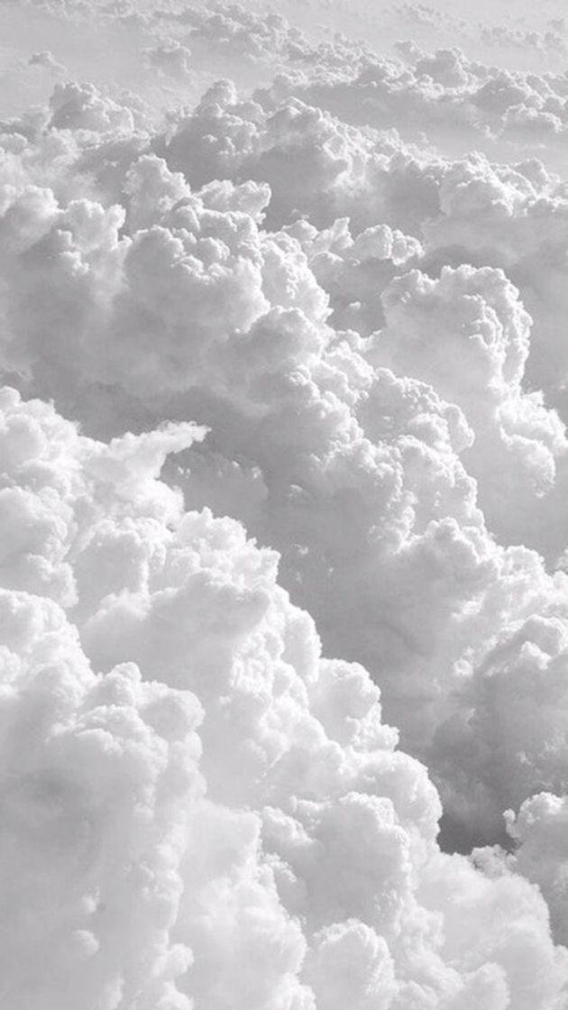 Social Fondo✨