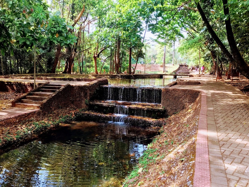 Lugar Bosque dos Buritis