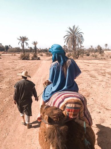 Marrakech