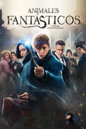 Fantastic Beasts and Where to Find Them