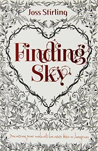 Book Finding Sky