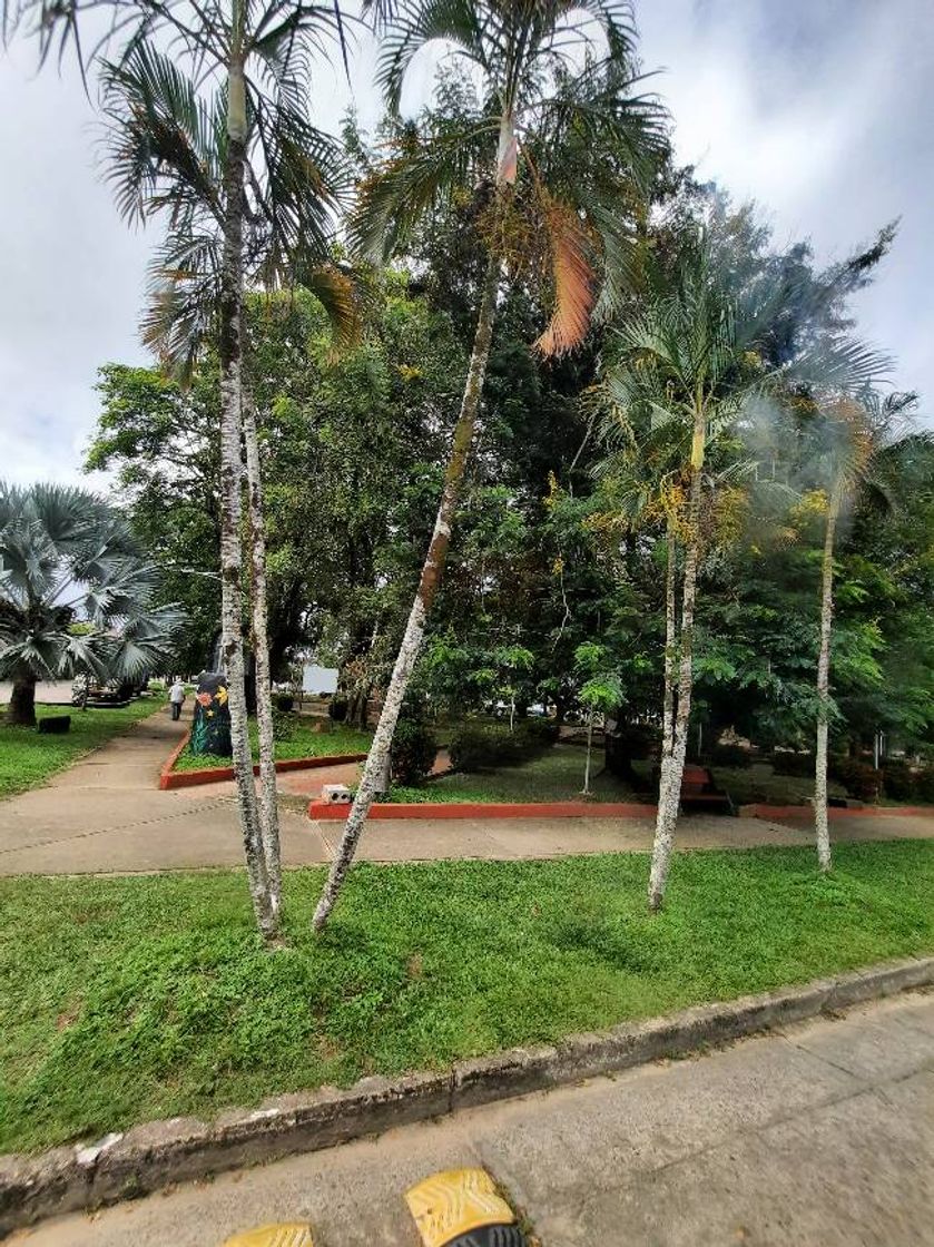 San Luís de Palenque