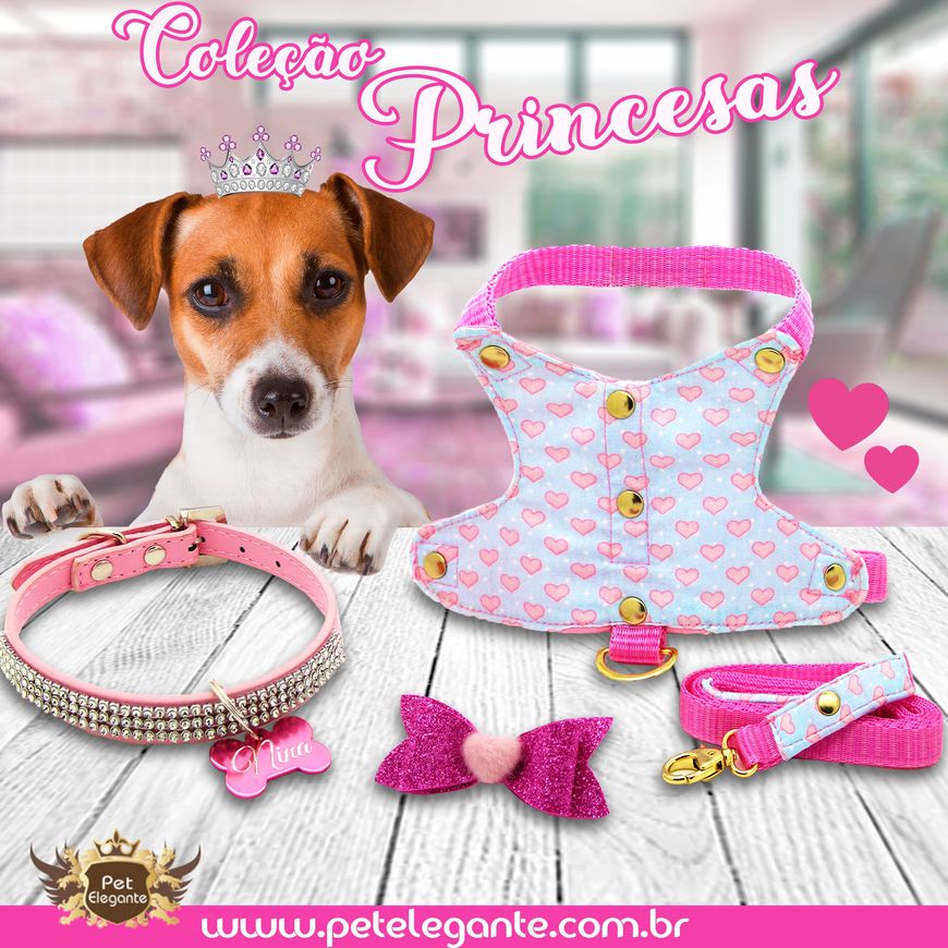 Fashion Cachorro: Os melhores produtos para cachorro e acessórios com ...