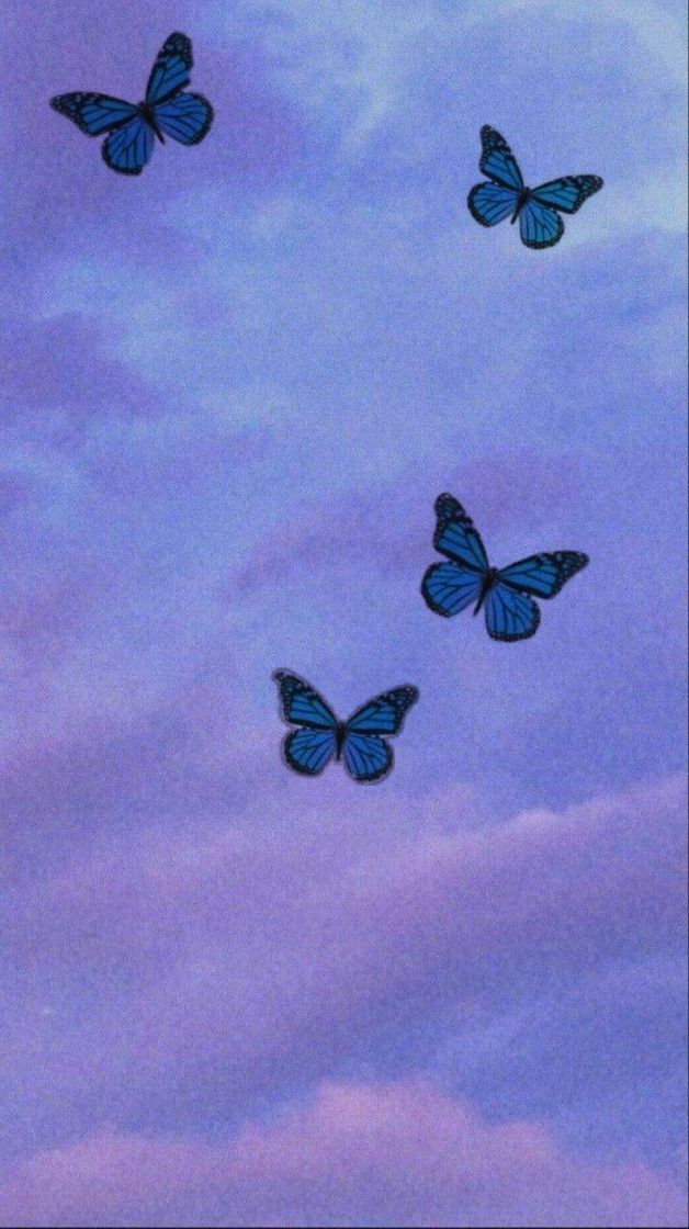 Moda 🦋Butterflies 🦋