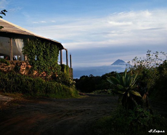 Restaurants Restaurante Fornos De Lava