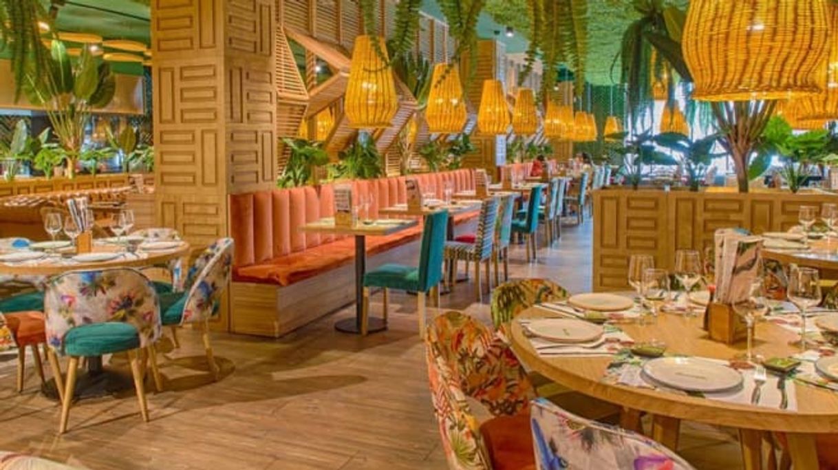 Restaurants Amazonia Chic