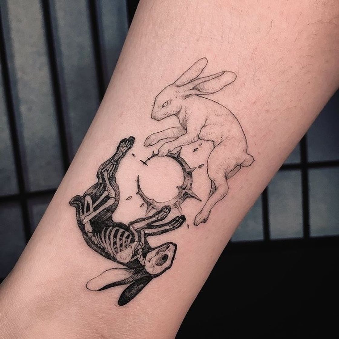 Moda tattoo coelho inspo