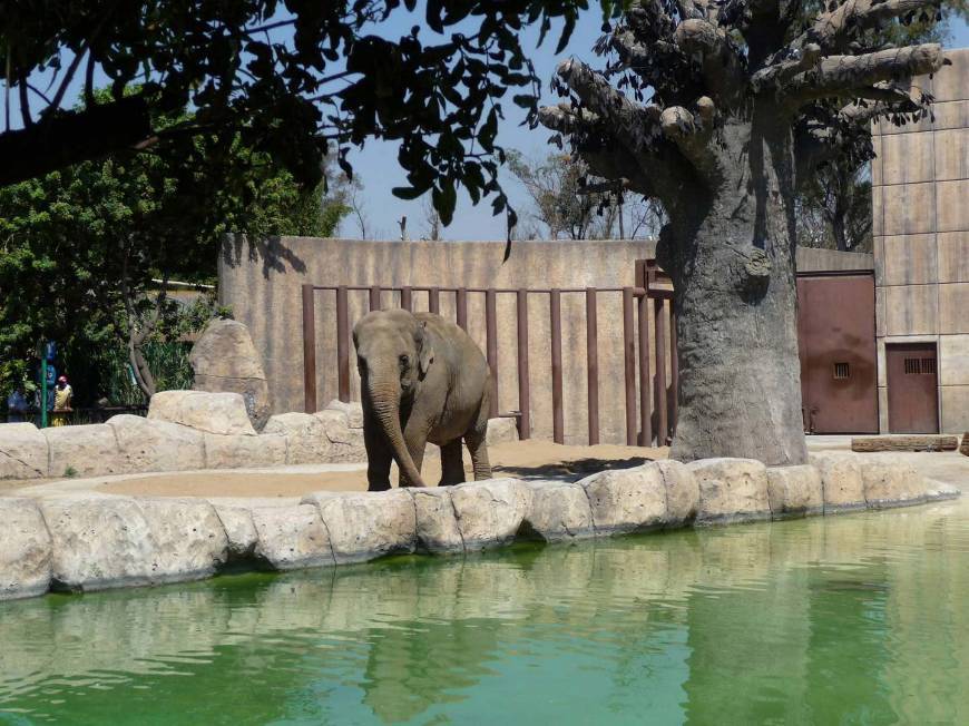 Place Zoológico San Juan de Aragón