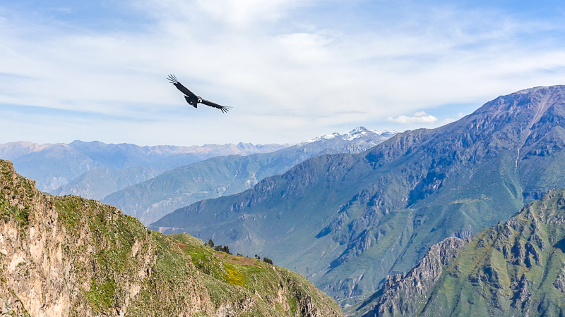 Lugar Cañón del Colca