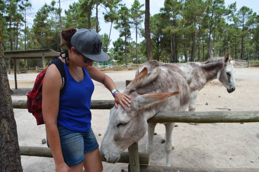 Lugar Badoca Safari Park