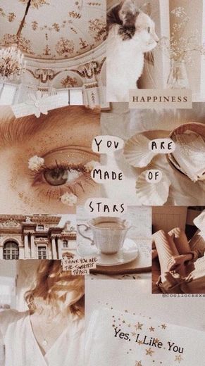 You are made of stars 