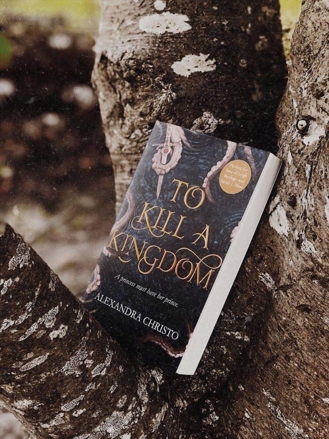 Fashion To Kill a Kingdom - Alexandra Christo 