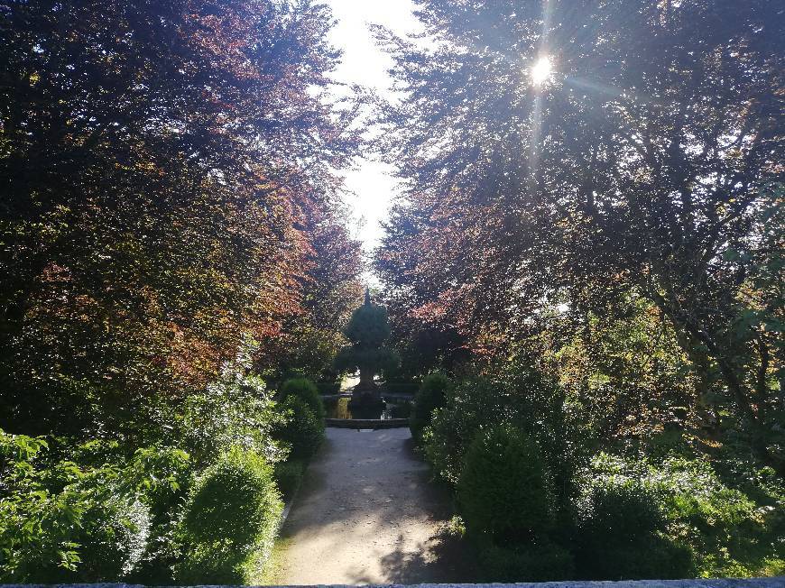 Lugar Jardim Botânico da Universidade de Coimbra