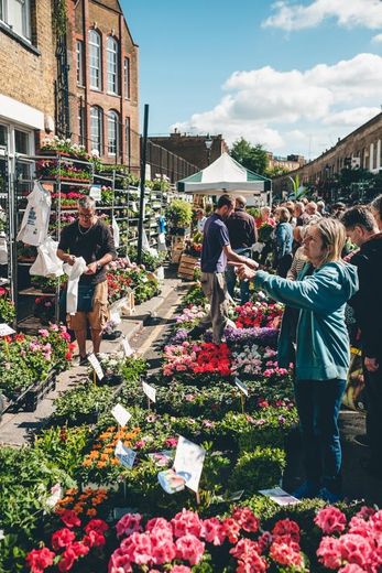 Columbia Road Flower Market