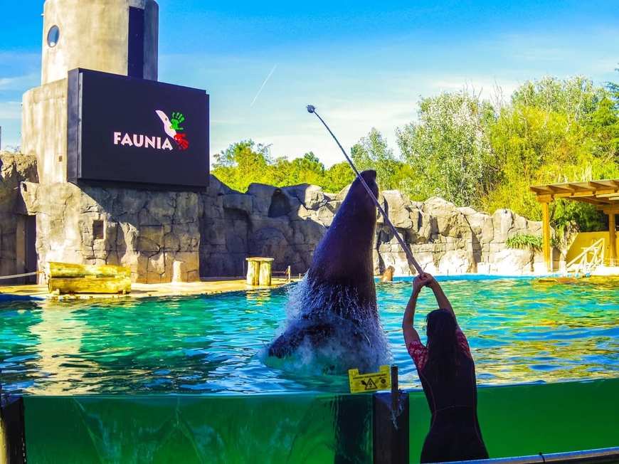 Place Faunia