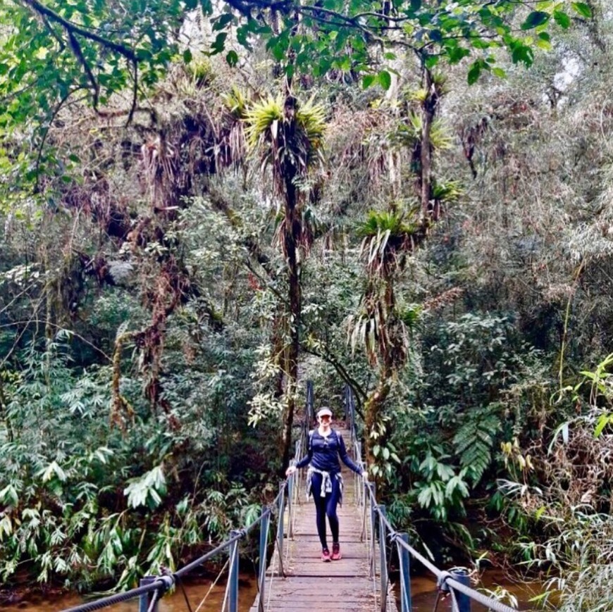 Social Caminho de Itupava 