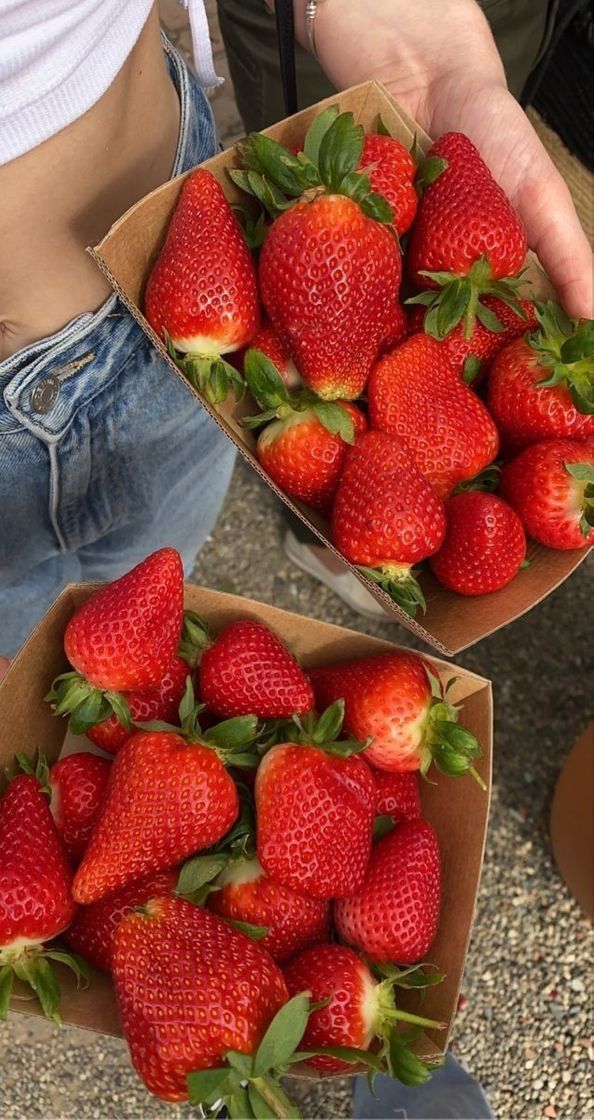 Fashion Strawberries 