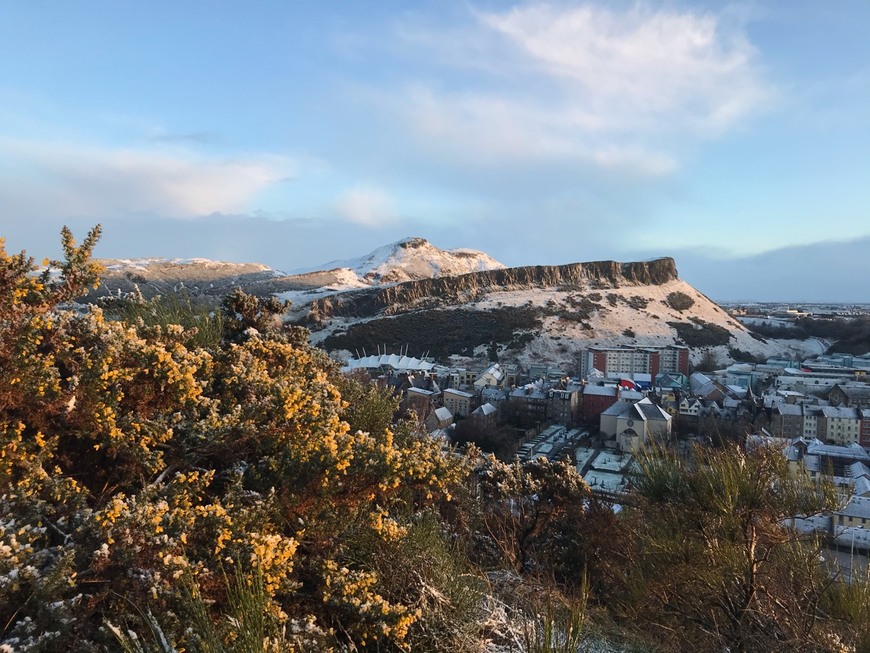 Place Arthur's Seat